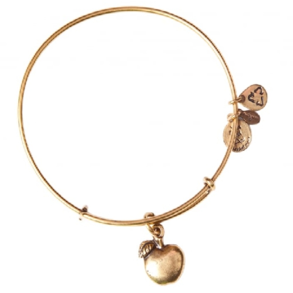 Alex & Ani Charm Bracelet